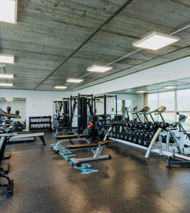 Resa Estates Ibiza for sale koop penthouse Cala Vadella Gym 2 Spa.jpeg